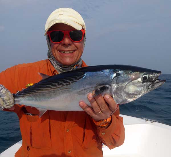 Skipjack Tuna sind würdige Gegner an der leichten Spinnrute